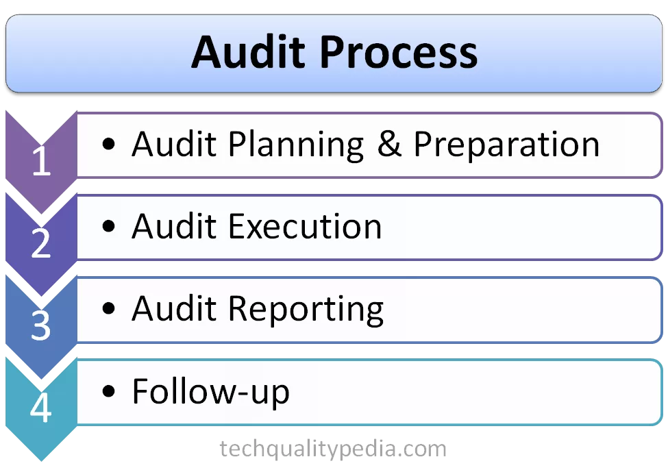 audit process